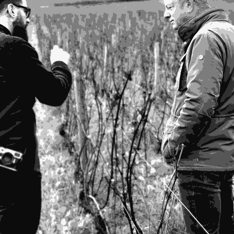 François de Nicolay — natural wine producer