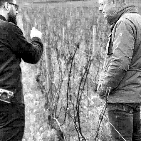 François de Nicolay — natural wine producer