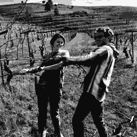 Frenchtown Farms — natural wine producer