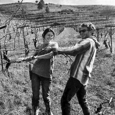 Frenchtown Farms — natural wine producer