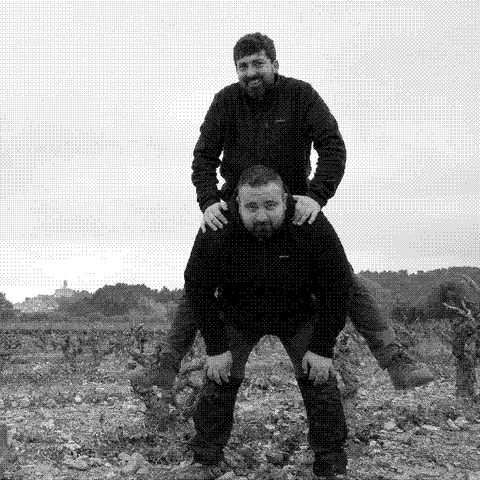 Francesc and Joan Ferré of Celler Frisach, natural wine producer in Terra Alta, Catalonia, Spain, standing among old vines in Corbera d'Ebre