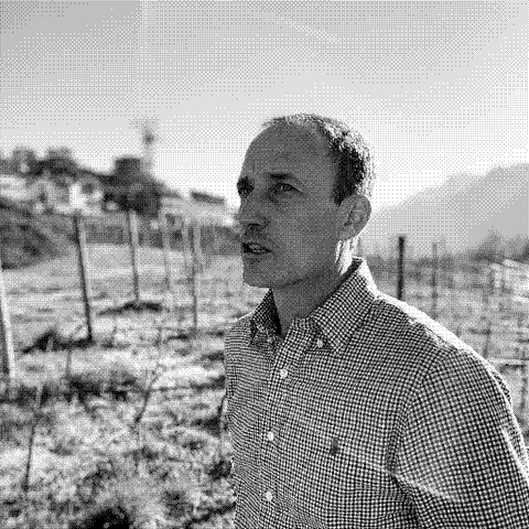 Furlani — natural wine producer