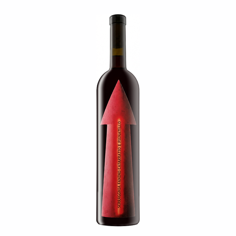 Gabrio Bini Fanino 2023, a biodynamic red wine from Sicily, Italy, blending Catarratto and Pignatello grapes