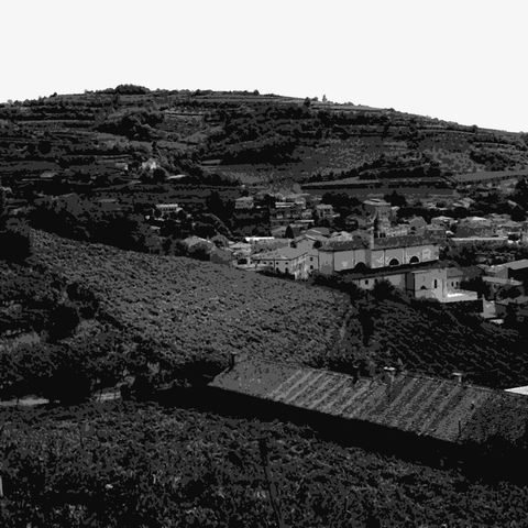 Garganuda — natural wine producer
