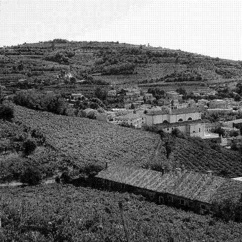 Garganuda — natural wine producer