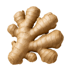 Ginger Icon Tasting | Primal Wine