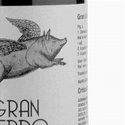 Gonzalo Gonzalo — natural wine producer
