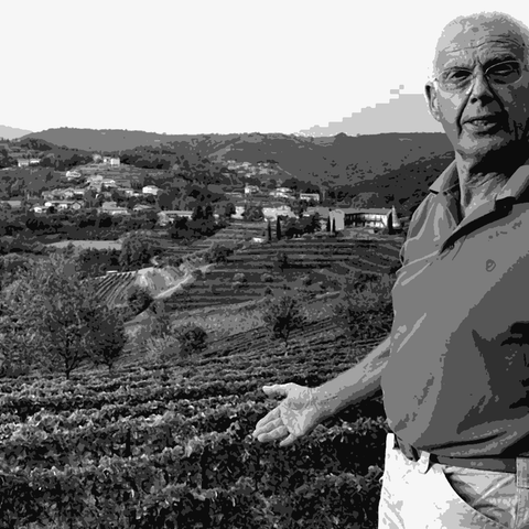 Gravner — natural wine producer