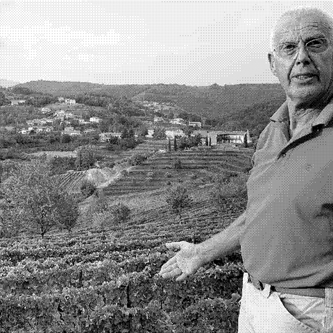 Gravner — natural wine producer