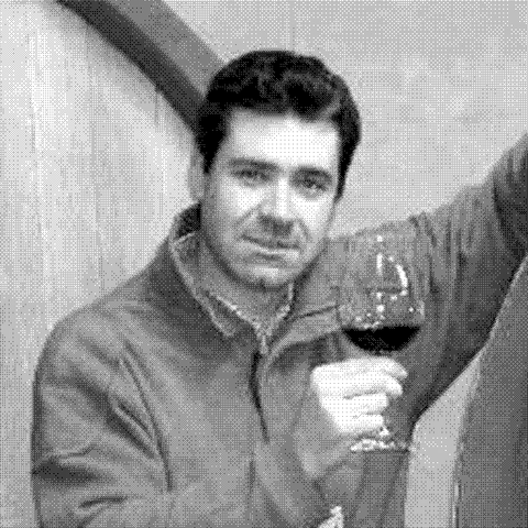 Guido Porro — natural wine producer