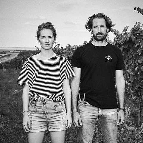 Gut Oggau, natural wine producer from Burgenland, Austria - primalwine.com