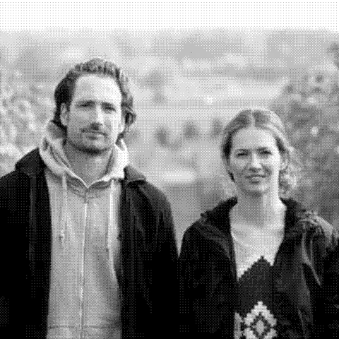 Gut Oggau — natural wine producer