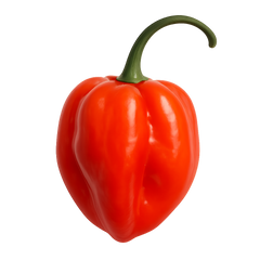 Habanero Icon Tasting | Primal Wine