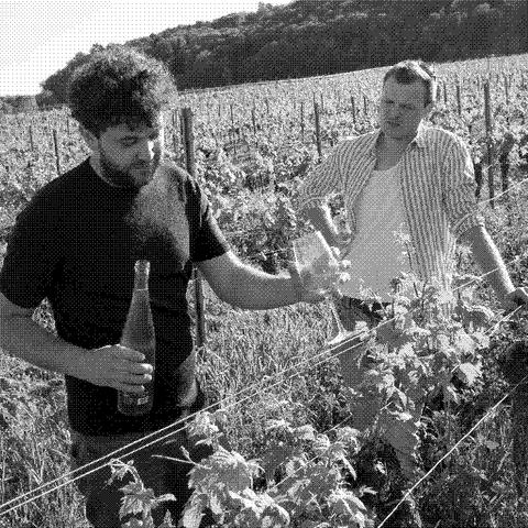 Hannes and Claudiu — natural wine producer