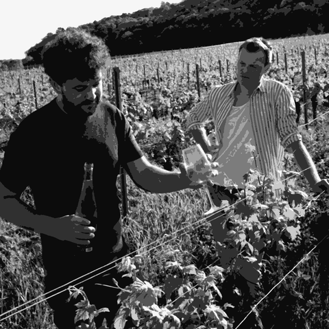 Hannes and Claudiu — natural wine producer