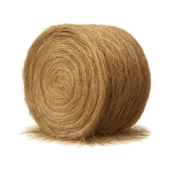 Round hay bale on a white background, highlighting its texture and shape, ideal for farming and agricultural themes.