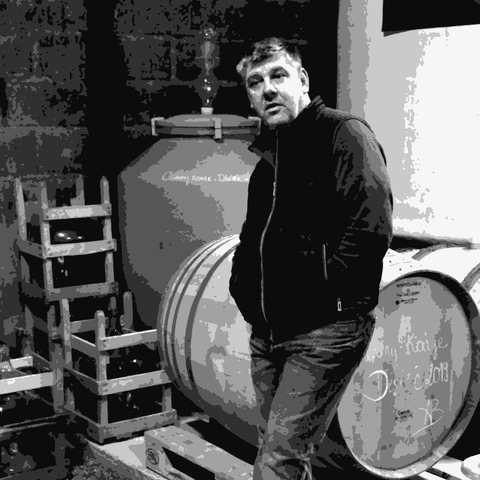 Hervé Villemade — natural wine producer