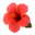 Vibrant red hibiscus flower with delicate petals and yellow stamens, surrounded by green leaves.