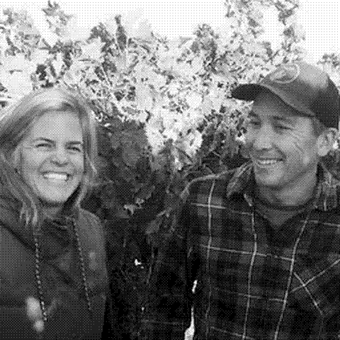 Hobo Wine Company — natural wine producer