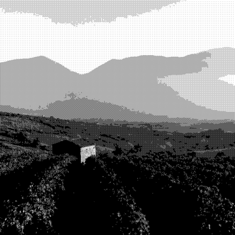 I Pentri — natural wine producer
