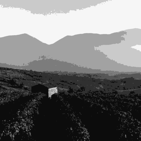 I Pentri — natural wine producer