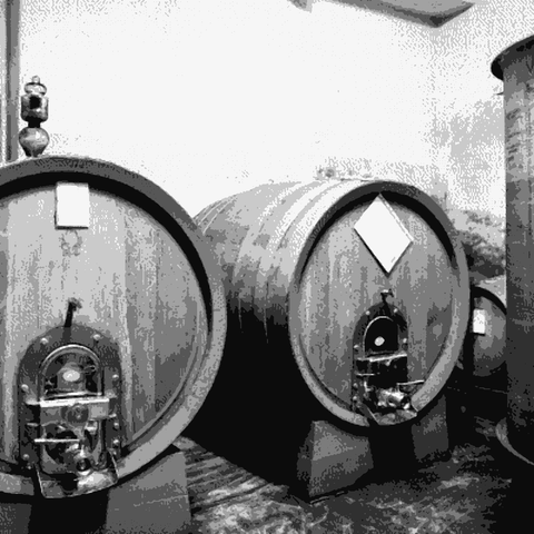 Imazio — natural wine producer