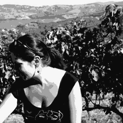 Istine — natural wine producer