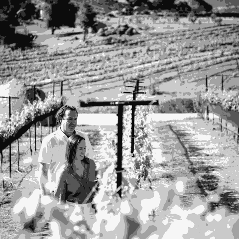 J. Brix Wines — natural wine producer