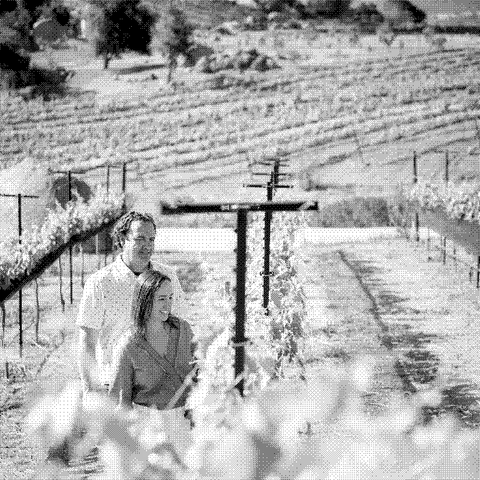 J. Brix Wines — natural wine producer
