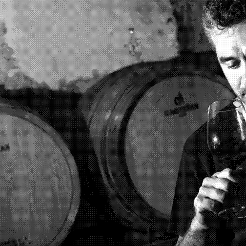 Jordi Llorens — natural wine producer