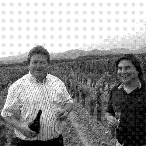Joseph Cattin — natural wine producer