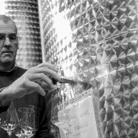 Kante — natural wine producer