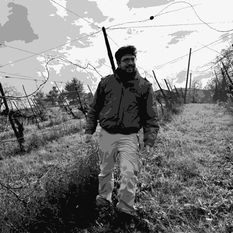 Koi — natural wine producer
