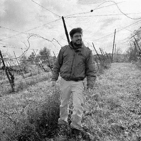 Koi — natural wine producer