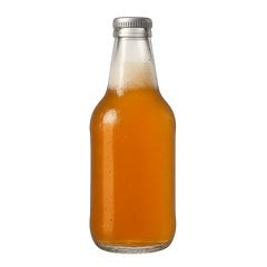 Kombucha Icon Tasting | Primal Wine