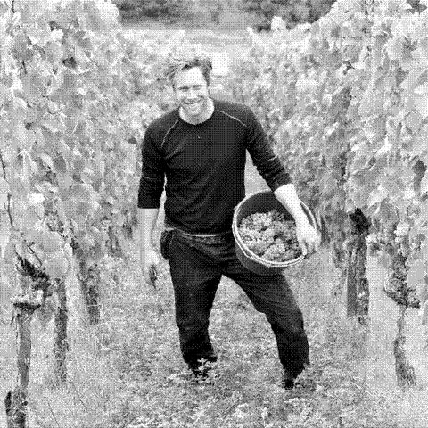 Kraemer — natural wine producer