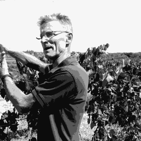 La Biancara — natural wine producer