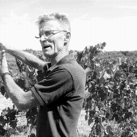 La Biancara — natural wine producer