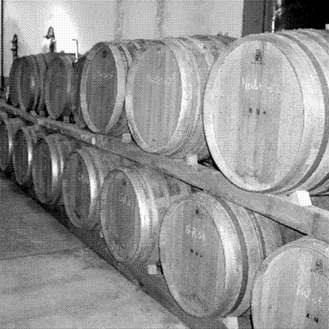 La Patience — natural wine producer