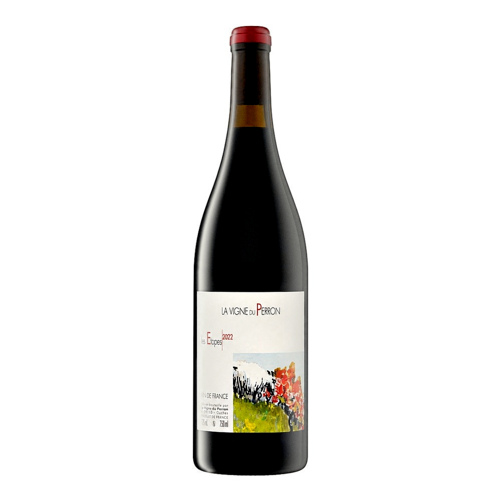 ワイン La Vigne du Perron Les Etapes 2020 La Vigne du Perron Les Étapes | French Natural Wine – Primal Wine