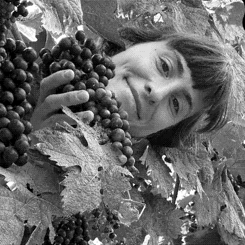 Alanna Lagamba, natural wine producer of Vin de LaGamba, holding grape clusters in her vineyard in Rheinhessen, Germany