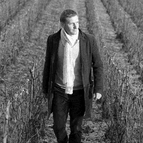 Laherte Freres — natural wine producer