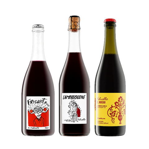 Natural Lambrusco Trio from Emilia-Romagna, Italy, featuring organic and biodynamic Lambrusco wines from multiple vintages