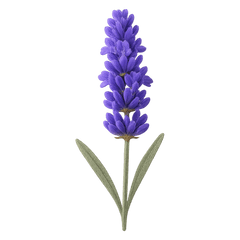Lavender Tasting Icon | Primal Wine