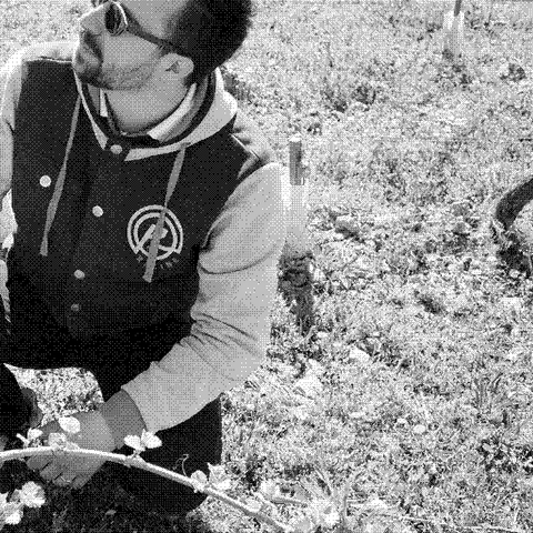 Le Sot de l'Ange — natural wine producer