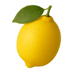 Lemon Icon Tasting | Primal Wine