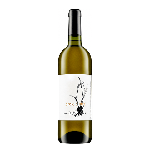 L'Erba D'Agram Drôle D'Idée 2022, natural wine bottle at Primal Wine