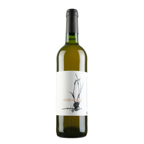 Bottle shot of Drole d'Idee, produced by L'erba d'Agram, buy classic and natural wine online on Primal Wine, the best wine shop in the United States – primalwine.com
