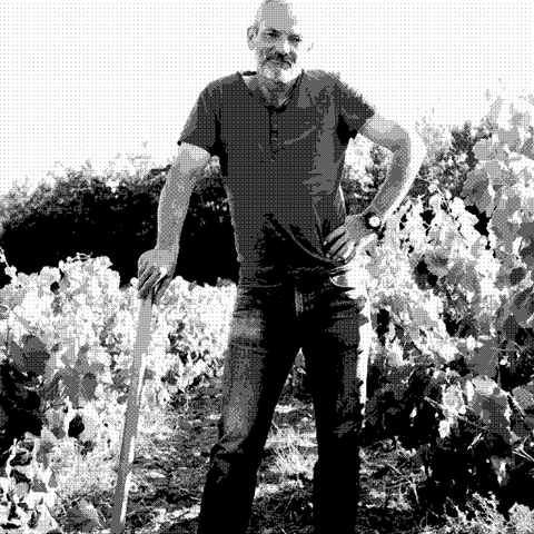 Les Foulards Rouges — natural wine producer