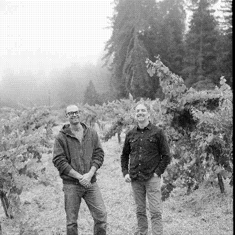 Les Lunes Wine — natural wine producer